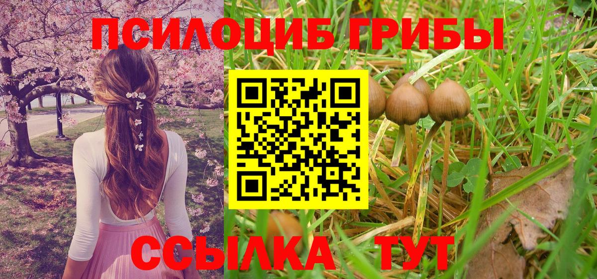 Галлюциногенные грибы Magic Shrooms Кувандык